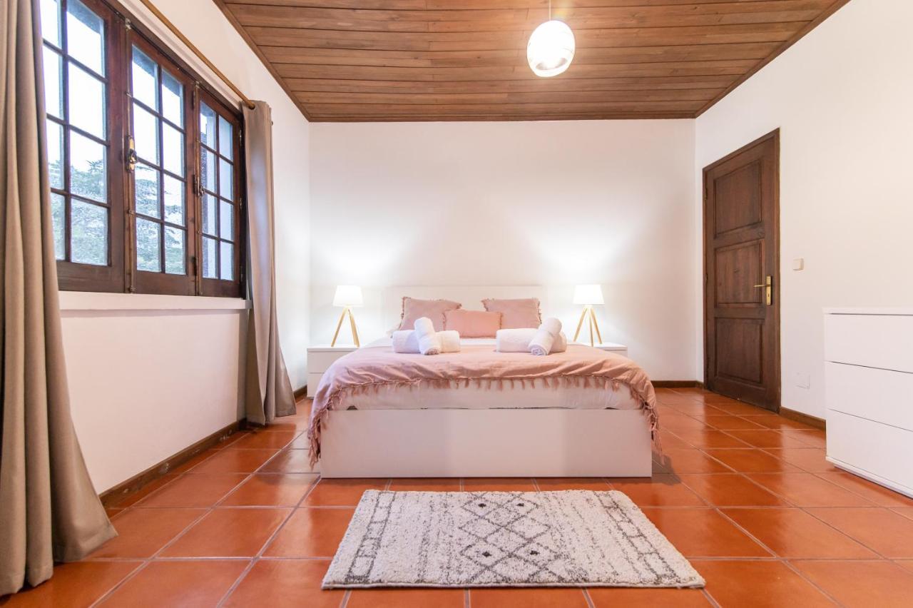 São Vicente Ferreira Casa Do Pinheiro With Shared Swimming Pool 빌라 외부 사진